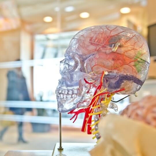 The Growth of Maladaptive Daydreaming in 2020